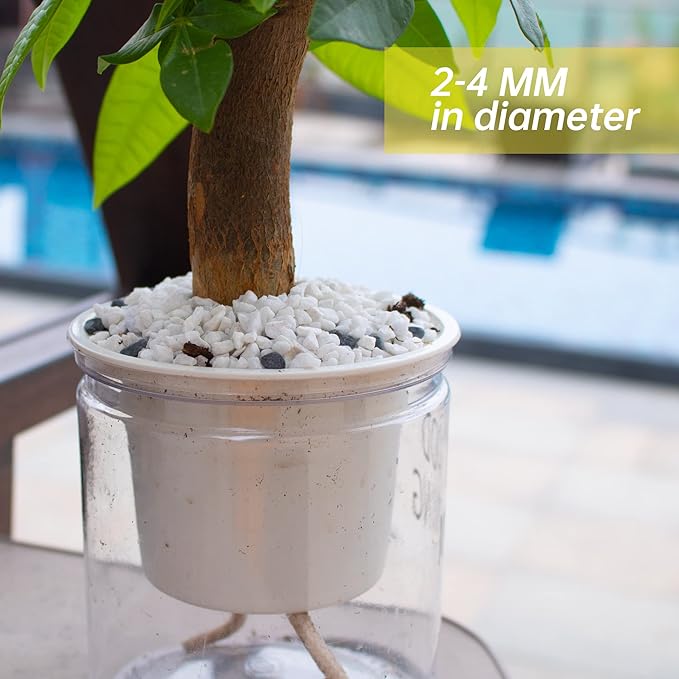 Anothera 7LB Succulent and Cactus Bonsai DIY Rocks, White Onyx, Gravel for Terrarium, Fairy Gardening, Top Dressing,(6mm-8mm)
