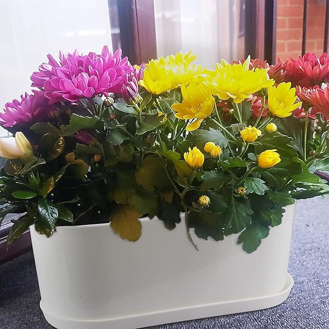 Window Box Planter with Saucers, 10 Sets Rectangular Planter with Multiple Drainage Holes and Trays Plant Pots, Outdoor Planter Or Indoor Planter for Succulent Cactus Flowers Vegetable