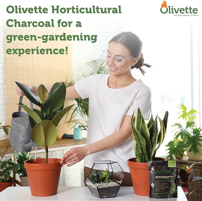 Olivette Horticultural Activated Charcoal for Plants by, Terrarium Horticulture Moisture Absorbers, Terrarium Supplies, USDA Organic Certified 1 Bag