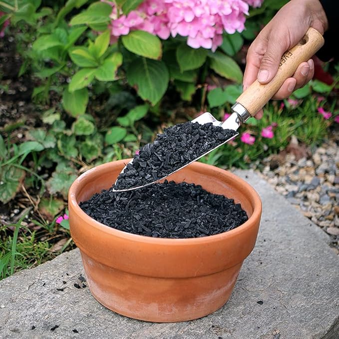 Horticultural Charcoal for Plants 4 qt, All Natural Hardwood Charcoal, Activated Charcoal for Soil Amendment, Orchids, Terrariums, and Gardening