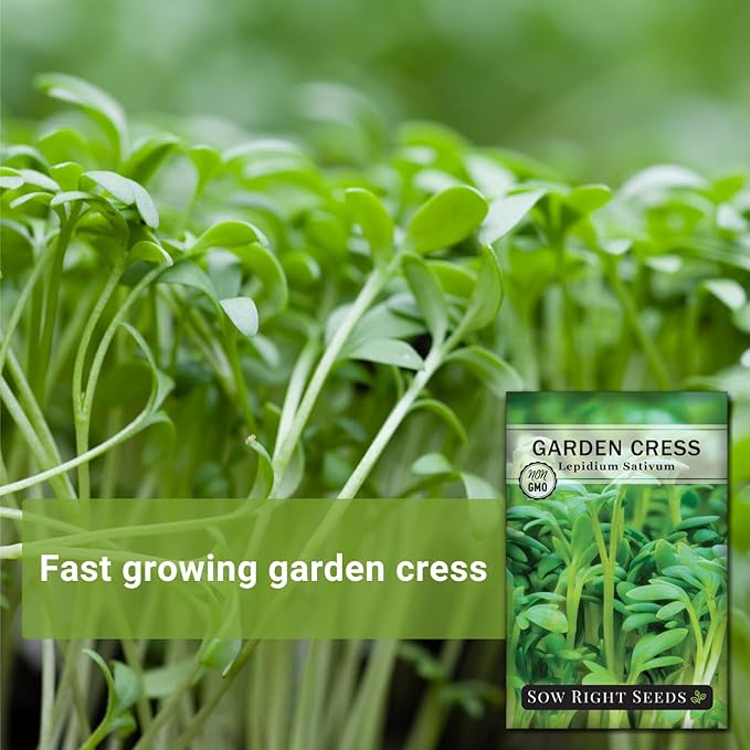 Sow Right Seeds - Garden Cress Seeds for Planting - Non-GMO Heirloom Packet with Instructions to Plant and Grow a Kitchen Herb Garden - Indoors or Outdoors - Edible Leaves and Cute Filler (3)
