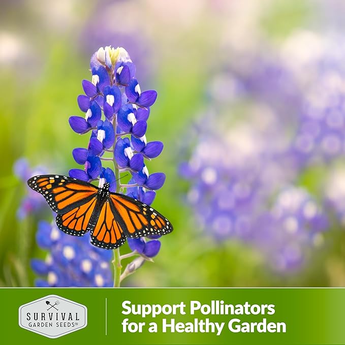 Texas Bluebonnet Seed for Planting - 3 Packets with Instructions to Plant & Grow Lupinus Texenisis in Your Home Wildflower Garden - Non-GMO Heirloom Variety- Survival Garden Seeds - Drought Resistant