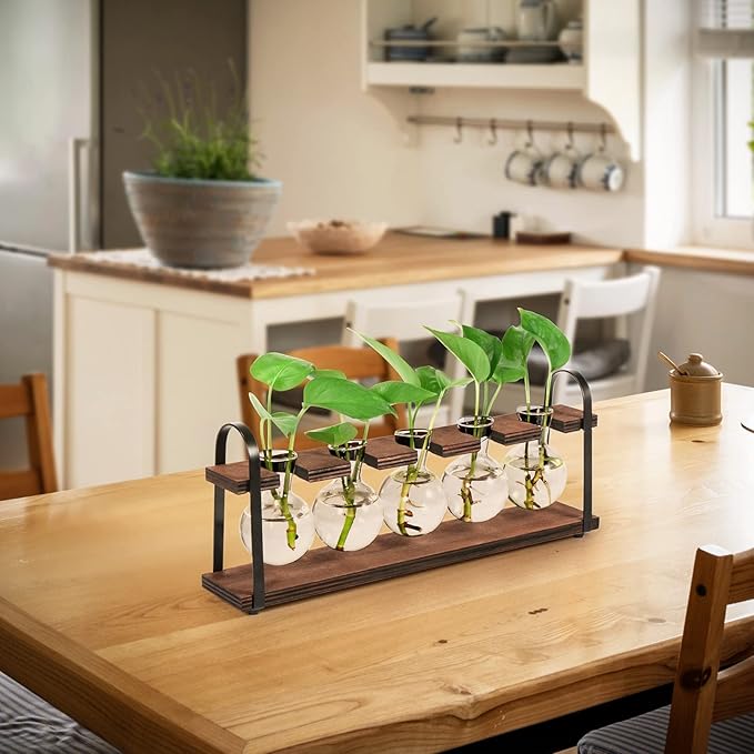 THYGIFTREE Plant Propagation Stations with Wooden Stand, Desktop Retro Plant Terrarium Bulb Vase for Indoor Hydroponic Flowers, Tabletop Glass Planter Housewarming Gifts for Plant Lovers