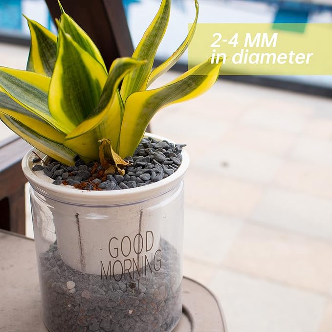 Anothera Stones for Plants 18 LB Smooth Natural Black River Rocks, Plant Aquarium Gravel Stones for Succulents Bonsai Terrarium Vase Fillers Fish Tank Indoor Outdoor Garden Decor(6-9 mm)