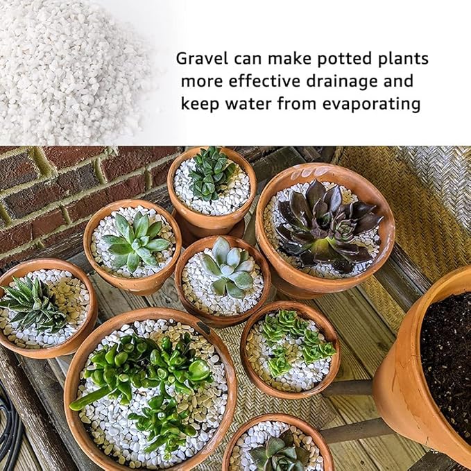 Anothera 6mm-8mm Succulent and Cactus Bonsai DIY Rocks, White Onyx, Gravel for Terrarium, Fairy Gardening, Top Dressing (3LB)