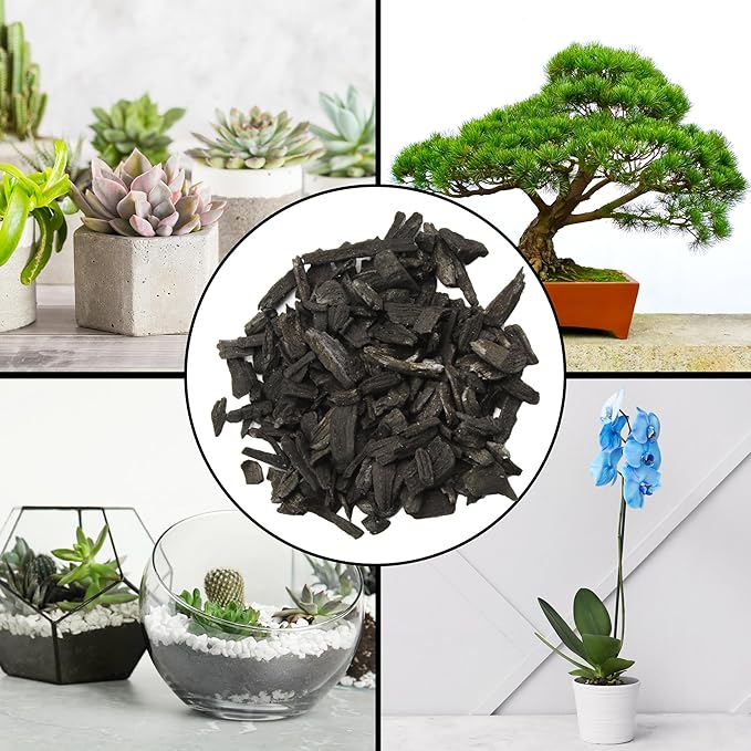 Horticultural Charcoal for Indoor Plants (8 Quarts), Hardwood Soil Additive for Orchids, Terrariums, and Gardening