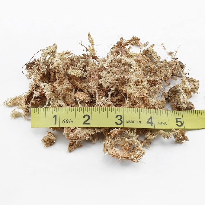Long Fibered Sphagnum Peat Moss (4 Quarts), All Natural Dried Moss for Orchids, Carnivorous Plants, Decorating, Terrariums
