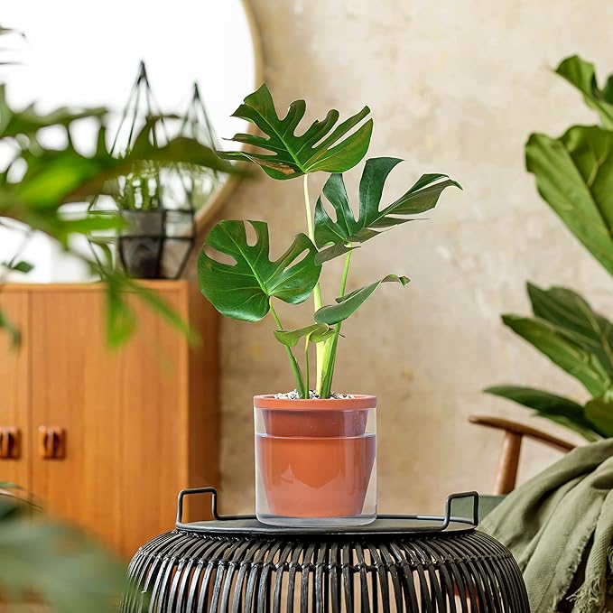 D'vine Dev 6 Inch Design Self Watering Pot for Indoor Plants, Terracotta Planter with Cylinder Glass Cup, Set of 2, 37-X-B-2