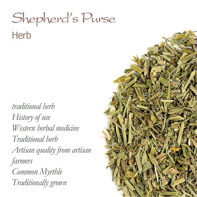 Shepherd's Purse Organic Herb Tea