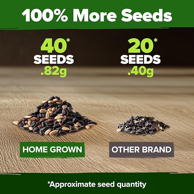 HOME GROWN Autumn Beauty Sunflower Seeds to Plant - 40 Heirloom and Non-GMO Sunflower Seeds for Planting - Blooms for Pollinator Support, and Ornamental Flower Garden (Helianthus annuus)
