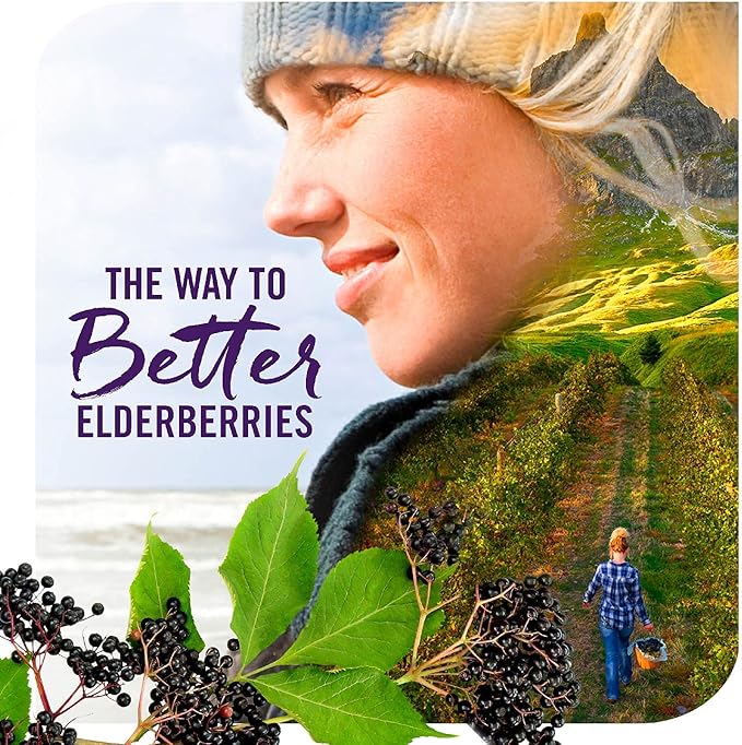Nature's Way Organic Sambucus Zinc Lozenges 24 Lozenges 3)