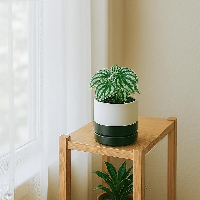 D'vine Dev 4.6 Inch Ceramic Planter Pot with Drainage Hole and Saucer, Indoor Cylinder Round Planter Pot, Layered Monochrome Black & White, 94-O-B-L