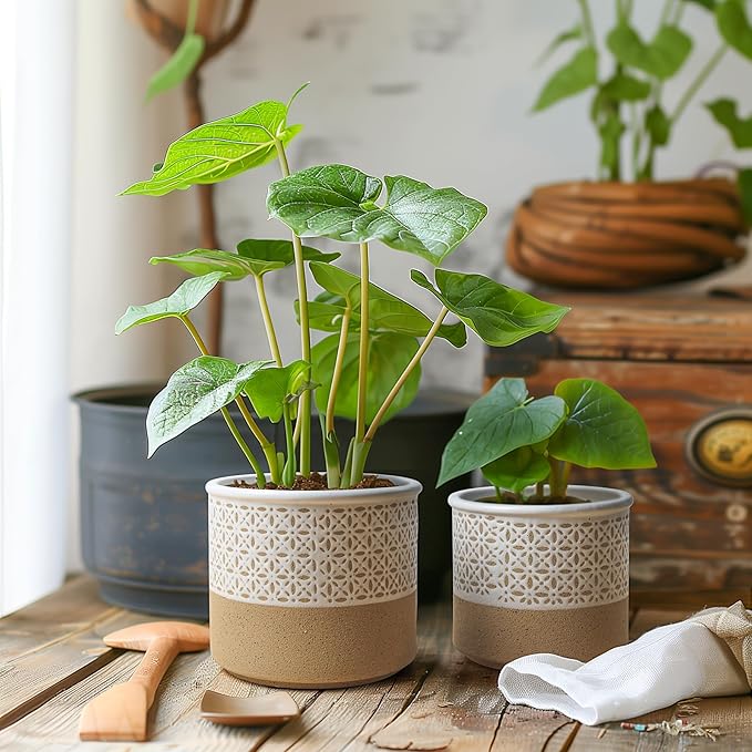 T4U Ceramic Planters for Indoor Plants, 4.2+5.4+6 Inch Plant Pots Set, Flower Pots with Drainage Holes and Plug, Ceramic Plant Pot for Indoor and Outdoor Plants, Morden Home Decor, Gifts for Mom