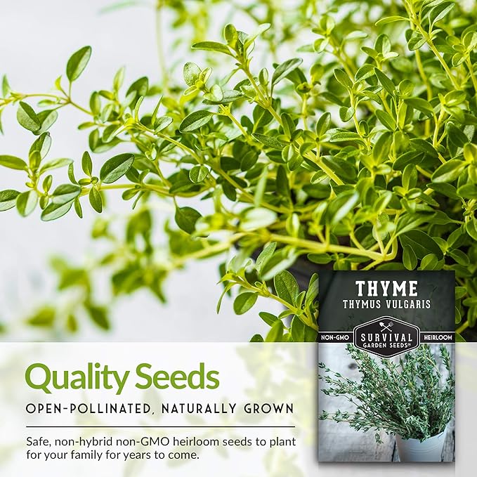 Survival Garden Seeds - Thyme Seed for Planting - Packet with Instructions to Plant and Grow Thymus Vulgaris Herb Plants in Your Home Vegetable Garden - Non-GMO Heirloom Variety - Edible Thyme Seeds
