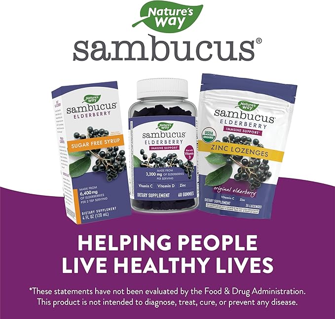 Nature’s Way Sambucus Organic Zinc Lozenges, 24 Lozenges
