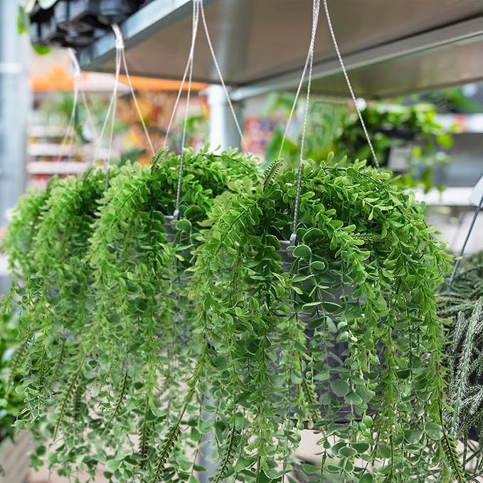 Tioncy 50 Pcs Plastic Hanging Planter Round Hanging Pot for Plants Containers with Hook Flower Plant Pots Holders for Outdoor Indoor Plant Balcony Garden Decor(Gray White)