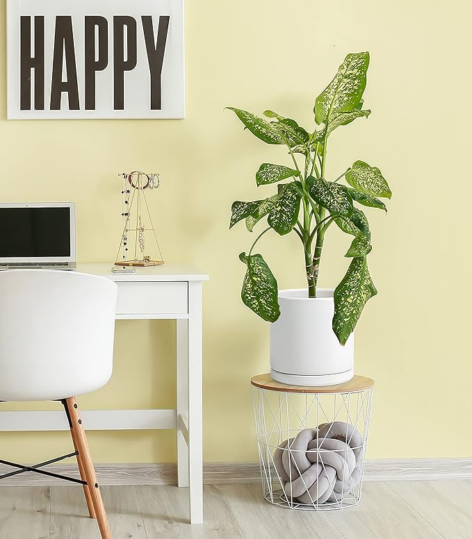 D'vine Dev 10 Inch Ceramic Planter Pot with Drainage Hole and Saucer, Indoor Cylinder Round Planter Pot, White, 94-O-E-1