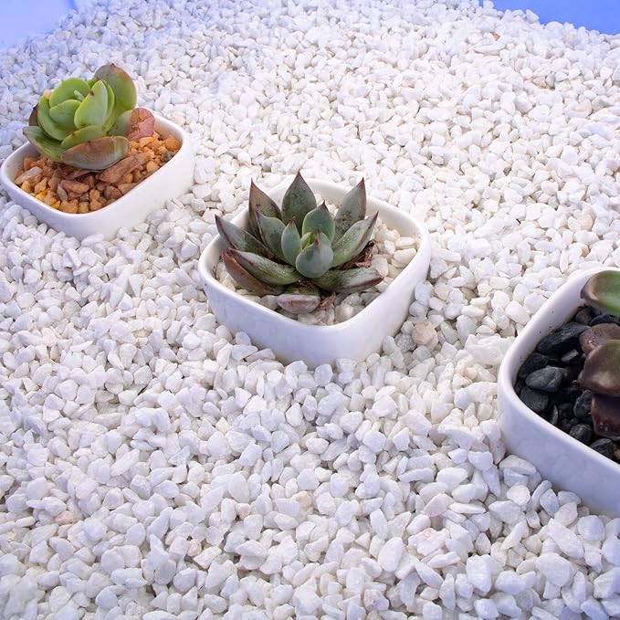 Anothera 7LB Succulent and Cactus Bonsai DIY Rocks, White Onyx, Gravel for Terrarium, Fairy Gardening, Top Dressing,(6mm-8mm)