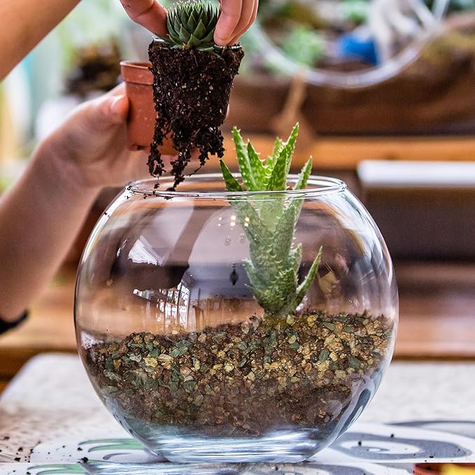Terrarium Potting Soil Mix 1qt, Custom Made for Terrariums, Perfect for Vibrant Miniature Gardens