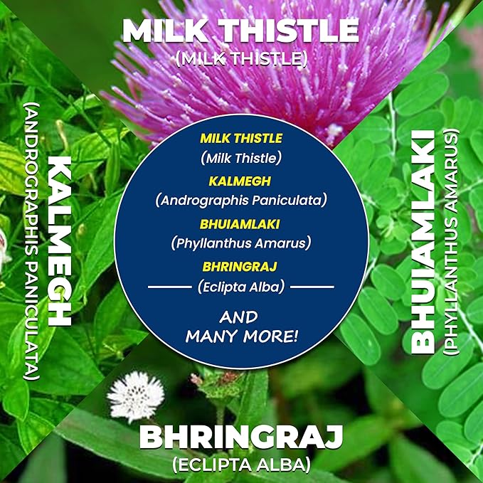 Liver Support Herbal Ayurvedic Supplement, Supports 13 Powerful 60 Caplets