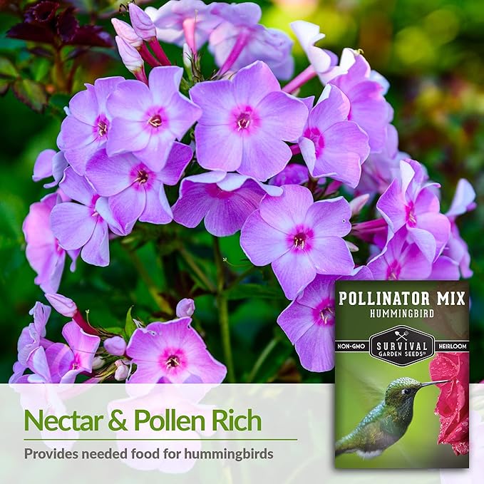 Survival Garden Seeds - Hummingbird Pollinator Mix Wildflower Seed for Planting - 5 Packs with Instructions to Plant & Grow Nectar Flowers in Your Home Vegetable Garden - Non-GMO Heirloom Varieties