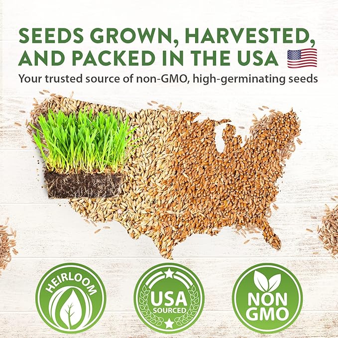 1 Pound Cat Grass Seeds for Cat & Kittens - 100% π‘π’π‘-ππ π’ π¨π¦π, Heirloom | Grow Fresh Kitty Grass for Chewing | Pet Grass for Cats Indoor Garden | Wheatgrass Seeds for Pets | Healthy Cat Greens