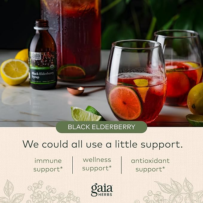 Gaia Herbs Black Elderberry (Sambucus Nigra) Formula-5.4 Fl (32-Day Supply)