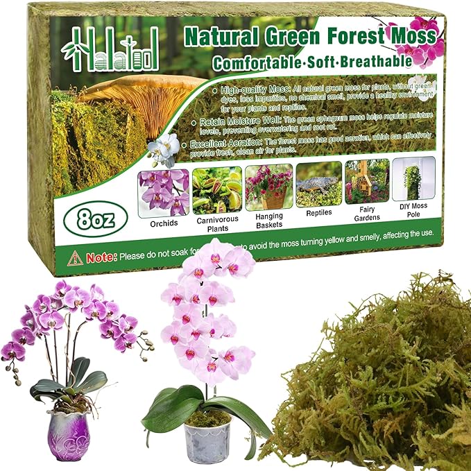 Halatool 8OZ Green Forest Moss- 12QT Natural Sphagnum Moss for Plants Fluffy Orchid Moss for Orchids Repotting Dried Plant Moss for Potted Plants Indoor & Outdoor