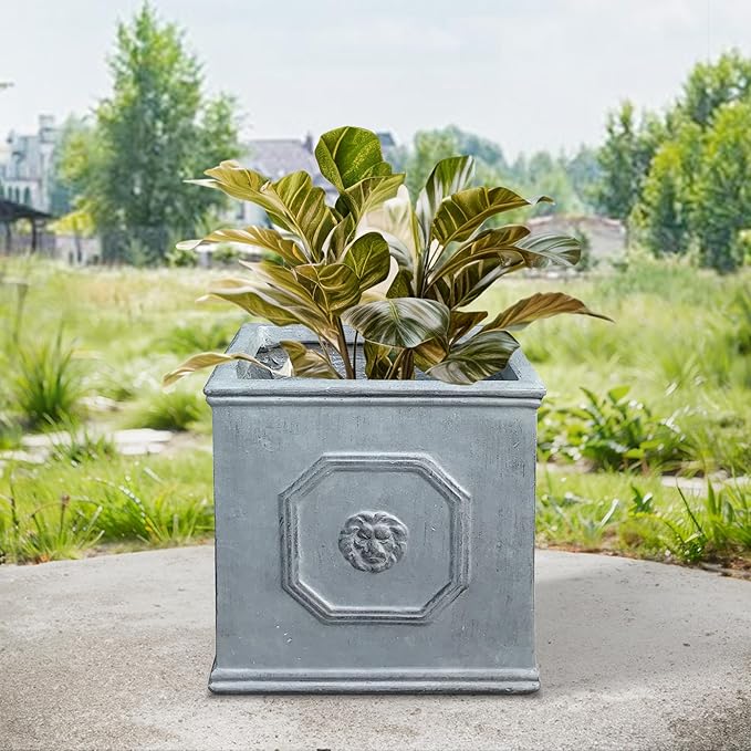 Kante Square Lion Head Concrete Planter, Classic English Style Plant Pot with Drainage Hole and Rubber Plug for Indoor Outdoor Garden Patio Home, 12.6"x12.6"x12.6" Gravel Gray