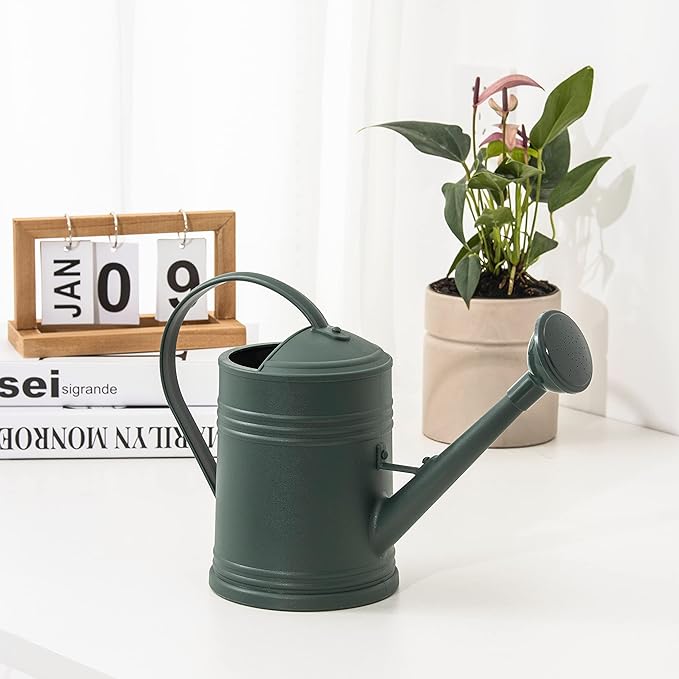 Watering Can for Indoor Plants, Flower Watering Can, Plastic Water Can for Plants, Indoor Watering Can with Sprinkler Head 68 oz, 1/2 Gallons