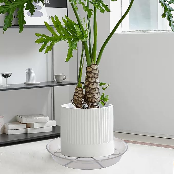 6 Pack Plant Saucer Drip Tray 11 12 inch, Pot Base for Plants Indoor, Heavy Sturdy Plastic Planter Flower Pot Saucers for Outdoor Garden, Plant Water Drip Trays for pots (12", Grey)