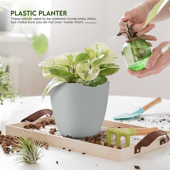 Utopia Home - Plant Pots Indoor with Drainage - 7/6.6/6/5.3/4.8 Inches Home Decor Flower Pots for Indoor Planter - Pack of 5 Plastic Planters for Indoor Plants, Cactus, Succulents Pot - Gray