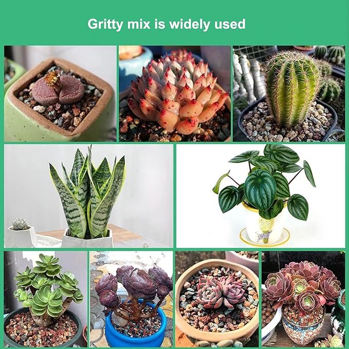 5lb Bonsai Succulent and Cactus Soil Gritty Mix Rocks Gravel for Terrarium Top Dressing Decorative Pebbles Potting Soil Amendment for Pots Indoor Plants, Fast Drainage, Neutralize Soil PH