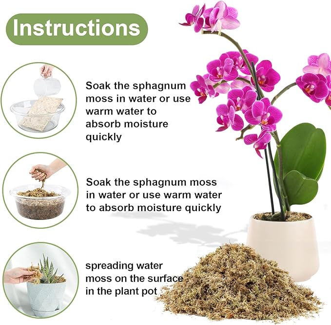 Sukh 6oz Sphagnum Moss for Plants - Sphagnum Peat Moss Natural Long Fibered Dried Moss Potting for Orchids Succulent Carnivorous Potted Plant Reptiles Medium Sarracenia DIY Moss Terrarium Decorations