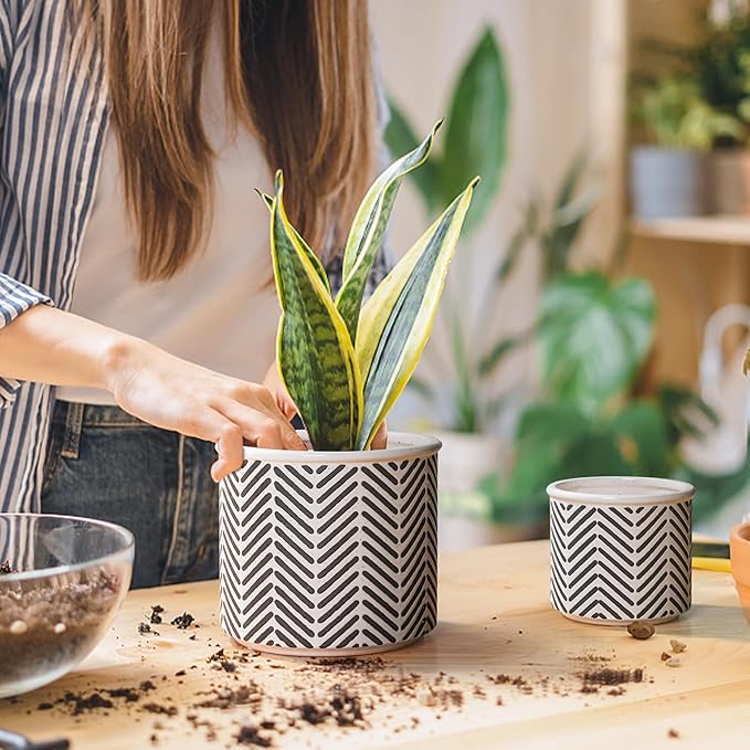 T4U Ceramic Planters for Indoor Plants, 4.2+5.4+6 Inch Plant Pots Set, Flower Pots with Drainage Holes and Plug, Ceramic Plant Pot for Indoor and Outdoor Plants, Morden Home Decor, Gifts for Mom