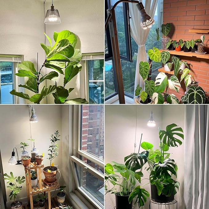 SANSI Dimmable Grow Light Bulb Full Spectrum, High PPFD 40W (600 Watt Equiv) with Remote, Auto On Off Timing 4 8 12 Hrs, Energy Saving Plant Light Bulb with E26 Base for Indoor Plants