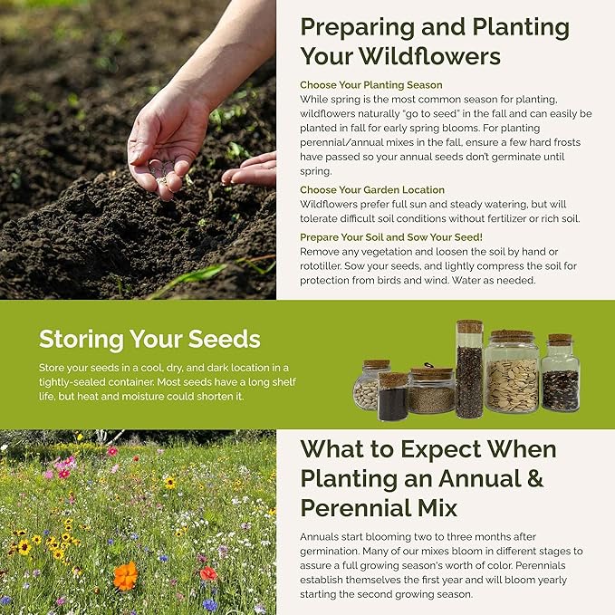 Eden Brothers Western Wildflower Mixed Seeds for Planting, 25 lb, 12,000,000+ Seeds with Cornflower, Blanket Flower | Attracts Pollinators, Plant in Spring or Fall, Zones 3, 4, 5, 6, 7, 8, 9, 10