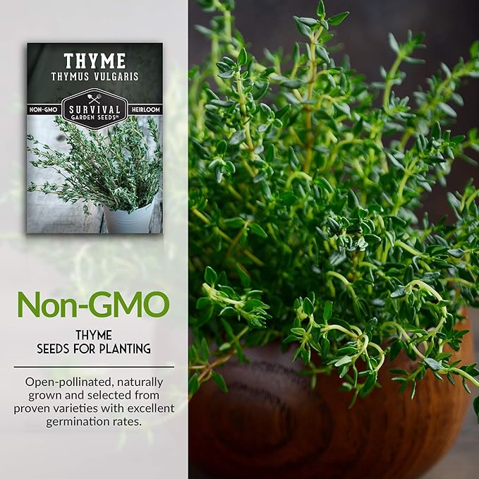 Survival Garden Seeds - Thyme Seed for Planting - Packet with Instructions to Plant and Grow Thymus Vulgaris Herb Plants in Your Home Vegetable Garden - Non-GMO Heirloom Variety - Edible Thyme Seeds