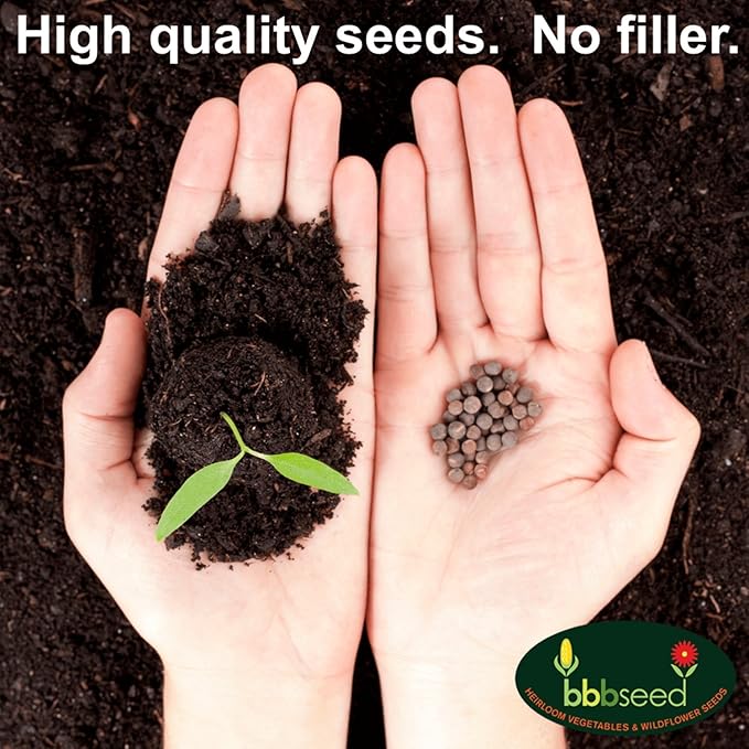 Partial Shade Wildflower Seeds -1 oz, Open-Pollinated Wildflower Seed Mix Packet, No Fillers, Annual, Perennial Wildflower Seeds Year Round Planting - 1 oz