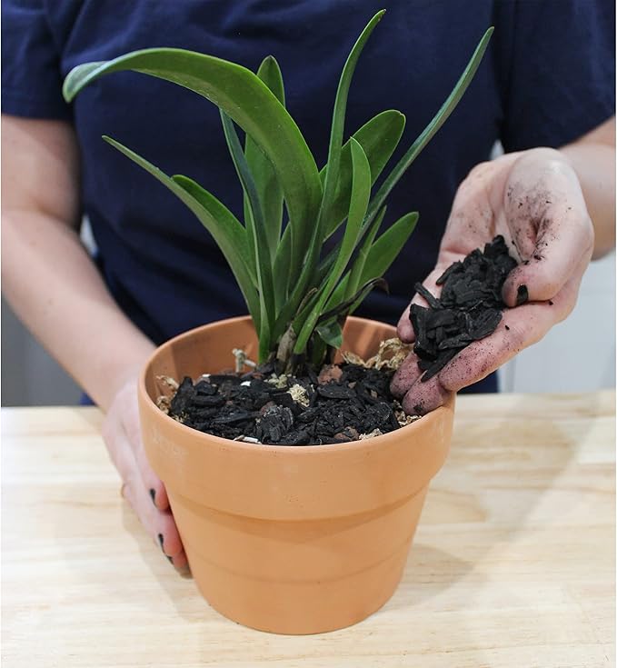 Horticultural Charcoal for Indoor Plants (8 Quarts), Hardwood Soil Additive for Orchids, Terrariums, and Gardening