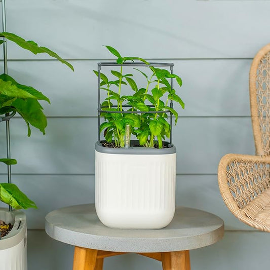 Vego garden Mini Planter Indoor Pots with Trellis Self-Watering Herb Countertop Planter for Climbing Vegetables Flowers Mint Plants Cage- Cream White