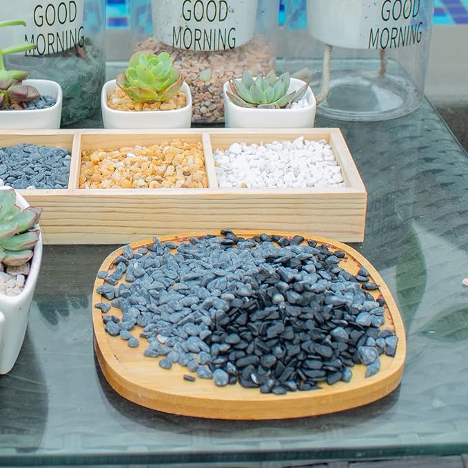 Anothera Stones for Plants 18 LB Smooth Natural Black River Rocks, Plant Aquarium Gravel Stones for Succulents Bonsai Terrarium Vase Fillers Fish Tank Indoor Outdoor Garden Decor(6-9 mm)