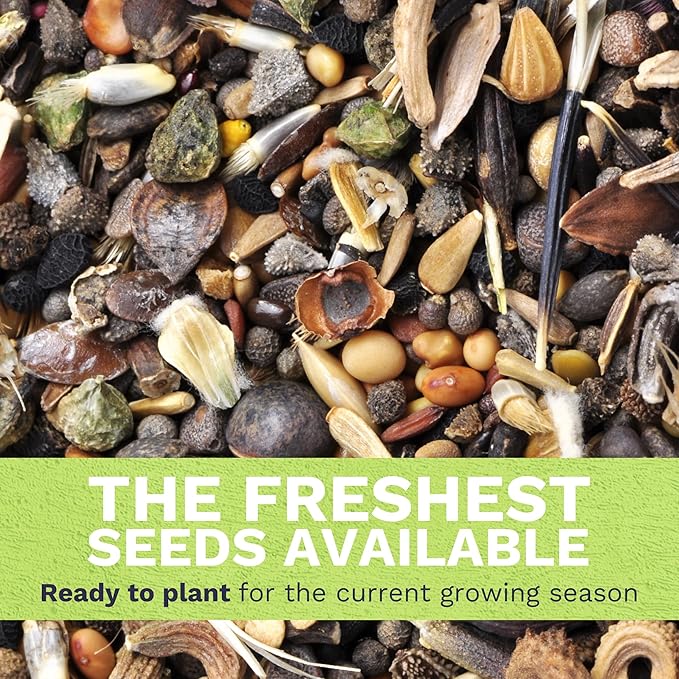 Southwest Regional Mix - Large 1 Ounce Packet - 15,000 Flower Seeds for Planting - Wildflower Mix