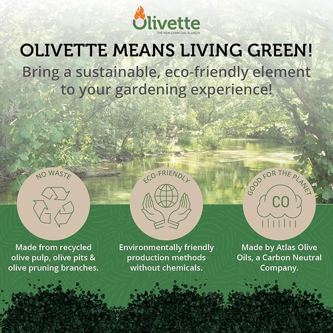 Olivette Horticultural Activated Charcoal for Plants by, Terrarium Horticulture Moisture Absorbers, Terrarium Supplies, USDA Organic Certified 1 Bag