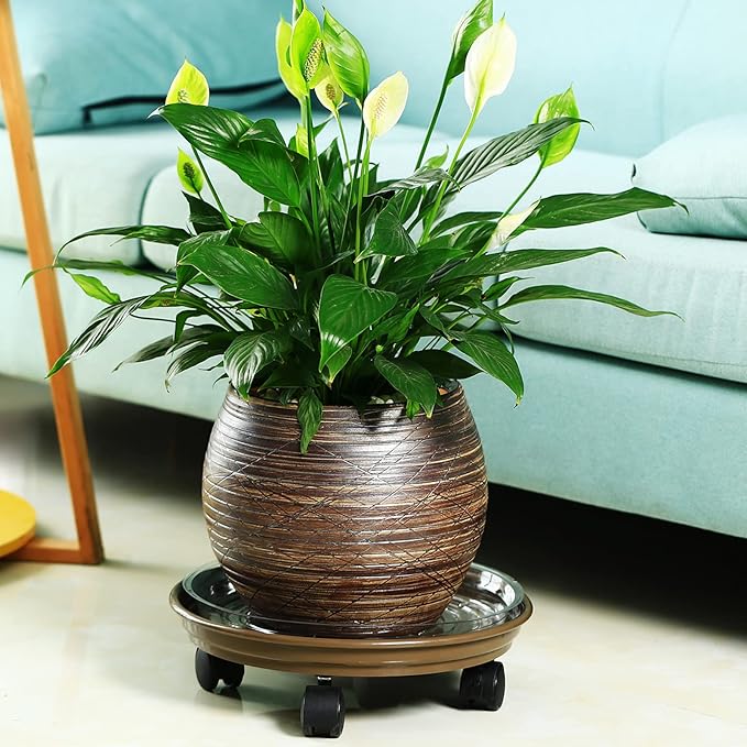 8 Packs Plant Caddy with Wheels 12" Plastic Rolling Plant Stands Heavy-duty Plant Dolly with Casters Indoor and Outdoor Plant Roller Base Large Heavy Plant Pot Saucers with Wheels Plant Mover, Brown