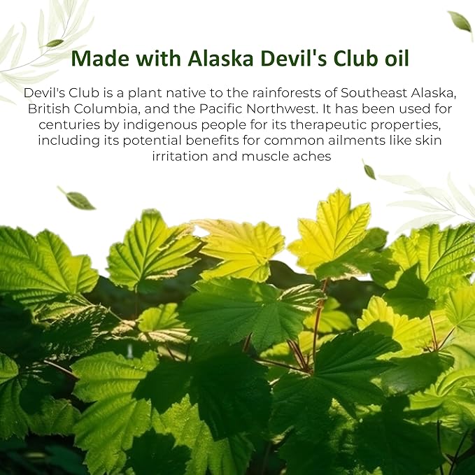 Handmade Alaska Devil's Club Salve 2 oz.