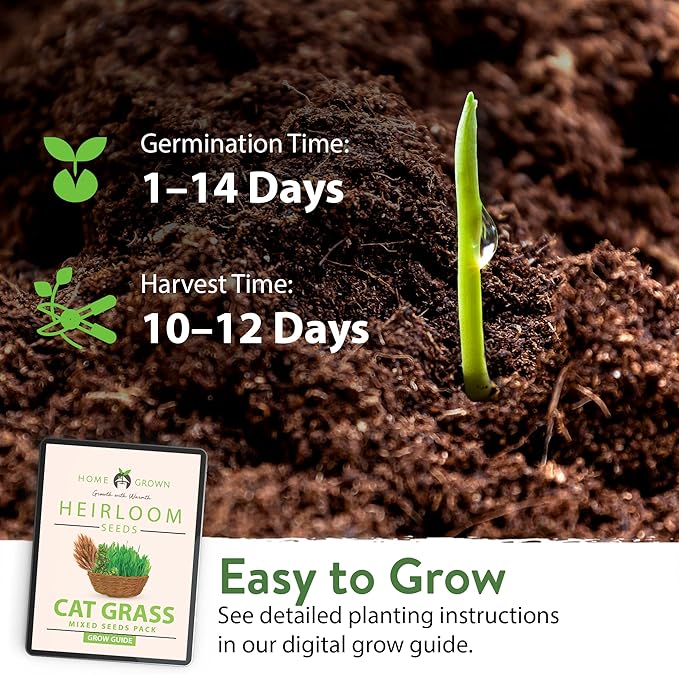1 Pound Cat Grass Seeds for Cat & Kittens - 100% π‘π’π‘-ππ π’ π¨π¦π, Heirloom | Grow Fresh Kitty Grass for Chewing | Pet Grass for Cats Indoor Garden | Wheatgrass Seeds for Pets | Healthy Cat Greens