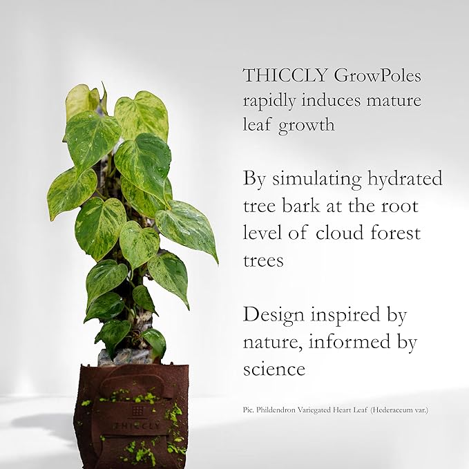 Plastic Moss Poles for Climbing Plants V2 Medium 5 Pcs Stackable Moss Pole Monstera Plant Support-Plant Climbing Pole, DIY Moss Pole for Plants Indoor, Plant Sticks Support by THICCLY