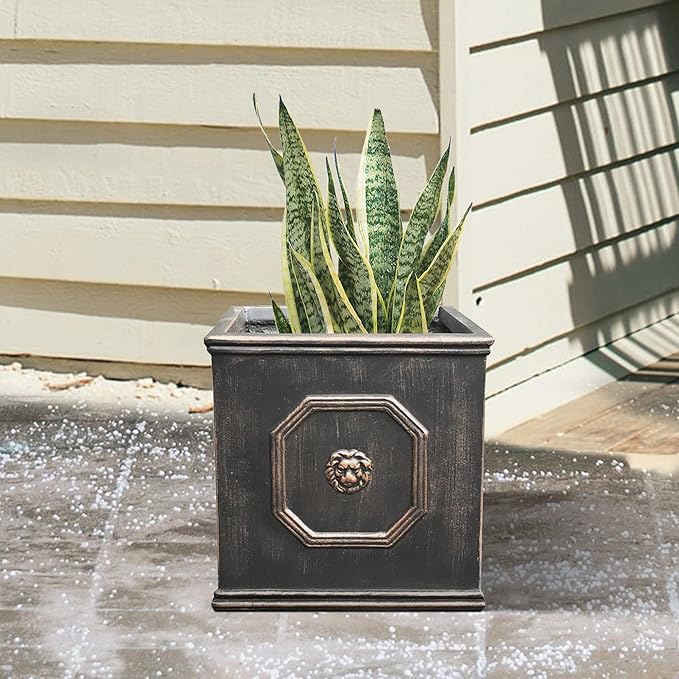 Kante Square Lion Head Concrete Planter, Classic English Style Plant Pot with Drainage Hole and Rubber Plug for Indoor Outdoor Garden Patio Home, 12.6"x12.6"x12.6" Oil Rubbed Bronze