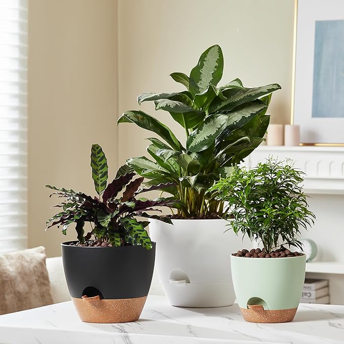 FaithLand 3-Pack Large Planter Pots, 12 10 9 Inch Self Watering Flower Pots for Indoor Outdoor Garden Plants, Black with Brown